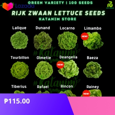 Katanim Rz Green Lettuce Seeds Collection Repacked Seeds Rijk