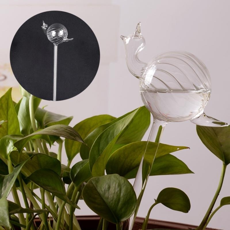 Snail Glass Watering Vase Terrarium Home Supply Wedding Gift Garden Decor - intl