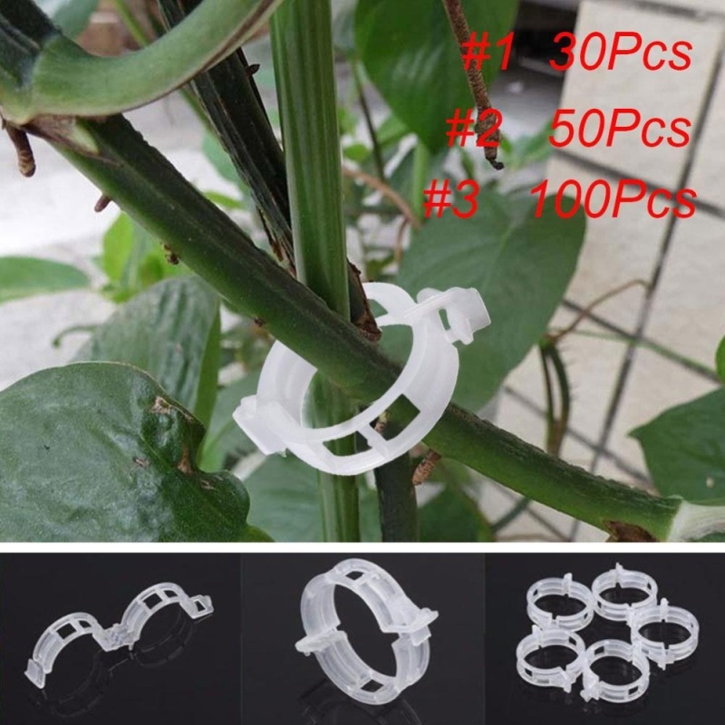 Useful White Tomato Clips Connects Plants Supports Vines Trellis Cages Fixed - intl