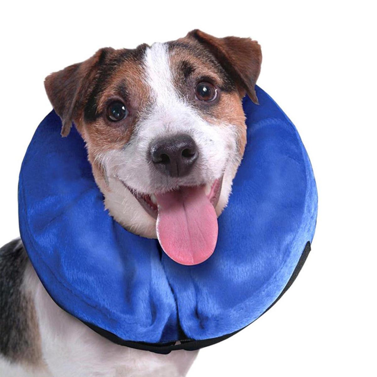 Buy Unique Dog Supplies Pet Supplies Lazada