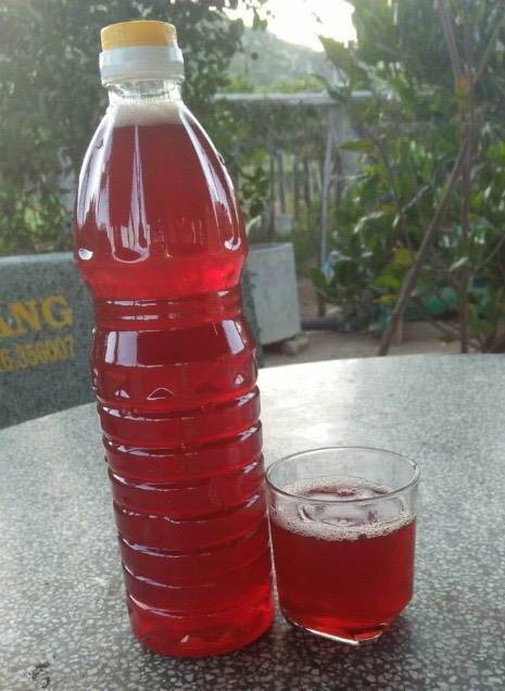 Mật nho