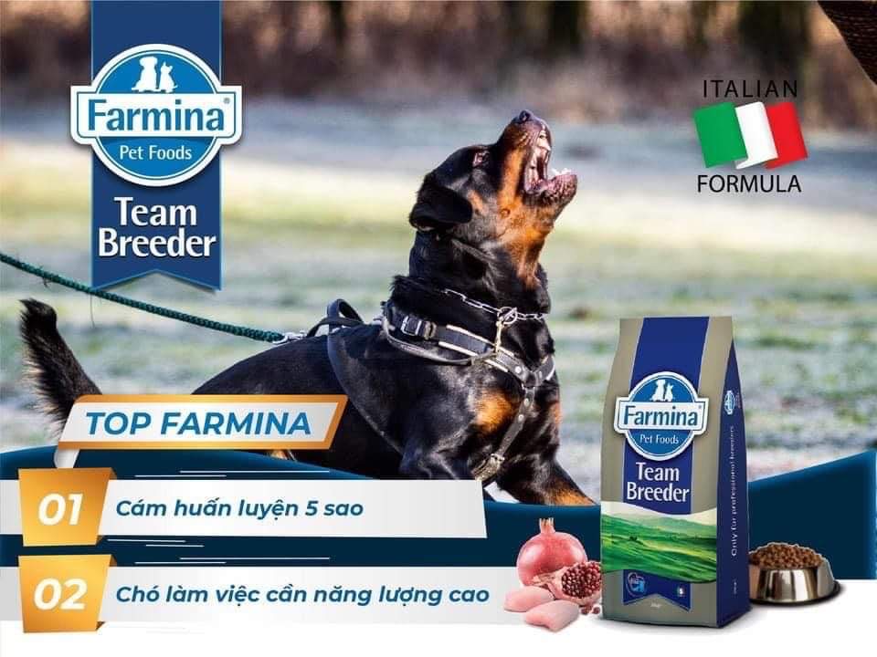 Top Farmina ! Sản phẩm dành cho chó trưởng thành 12th trở lên