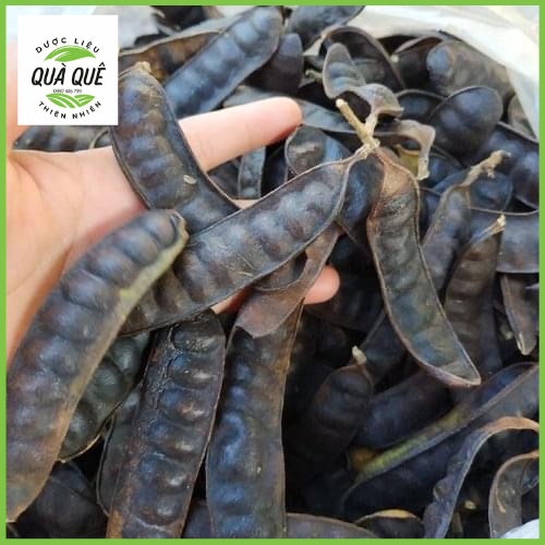 1kg trái bồ kết khô dùng gội đầu, xông phòng loại đẹp