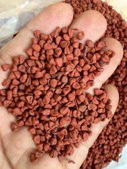 hạt điều màu / cà ri 1kg