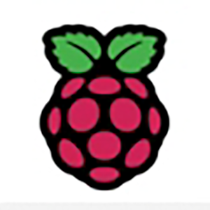 Raspberry Pi