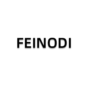 FEINODI