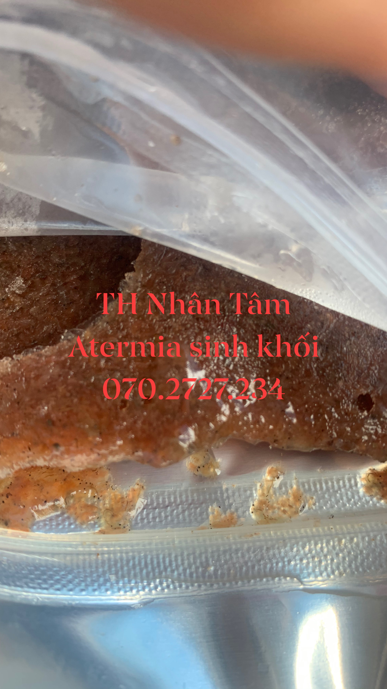 Atermia Sinh Khối Đông Lạnh
