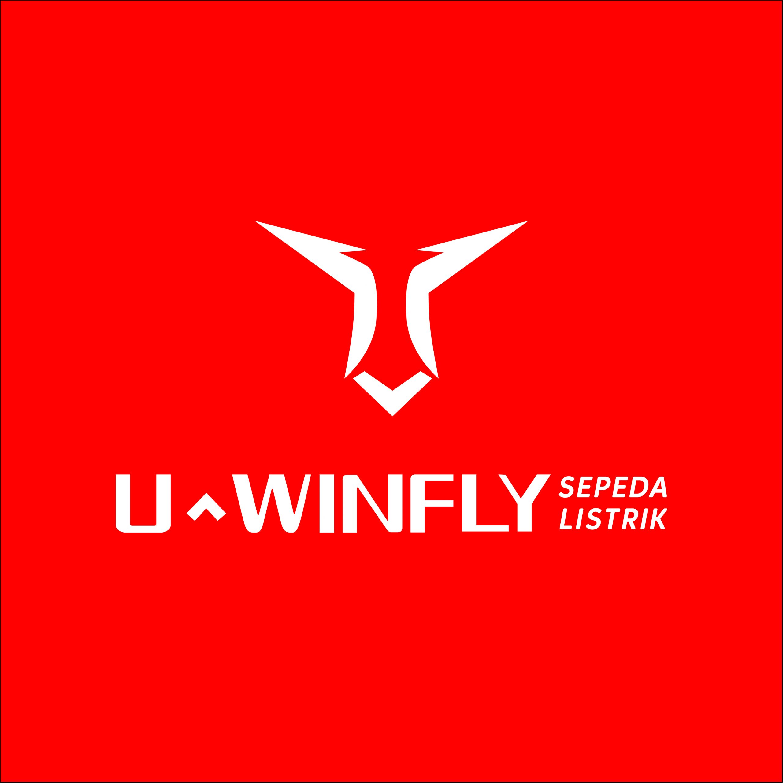 UWINFLY