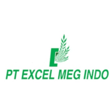 PT Excel Meg Indo