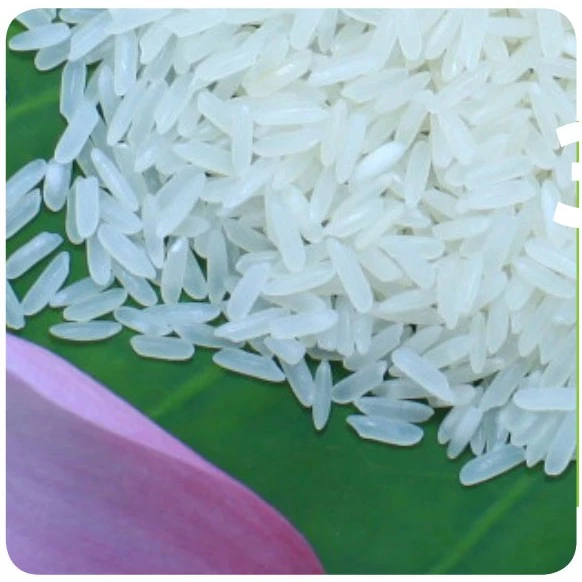 Gạo thơm lài - túi 5kg