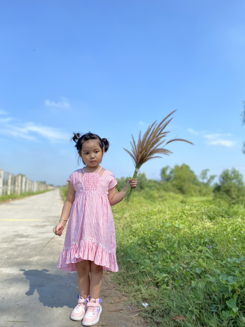 Đầm sọc hồng bee bee kid cute