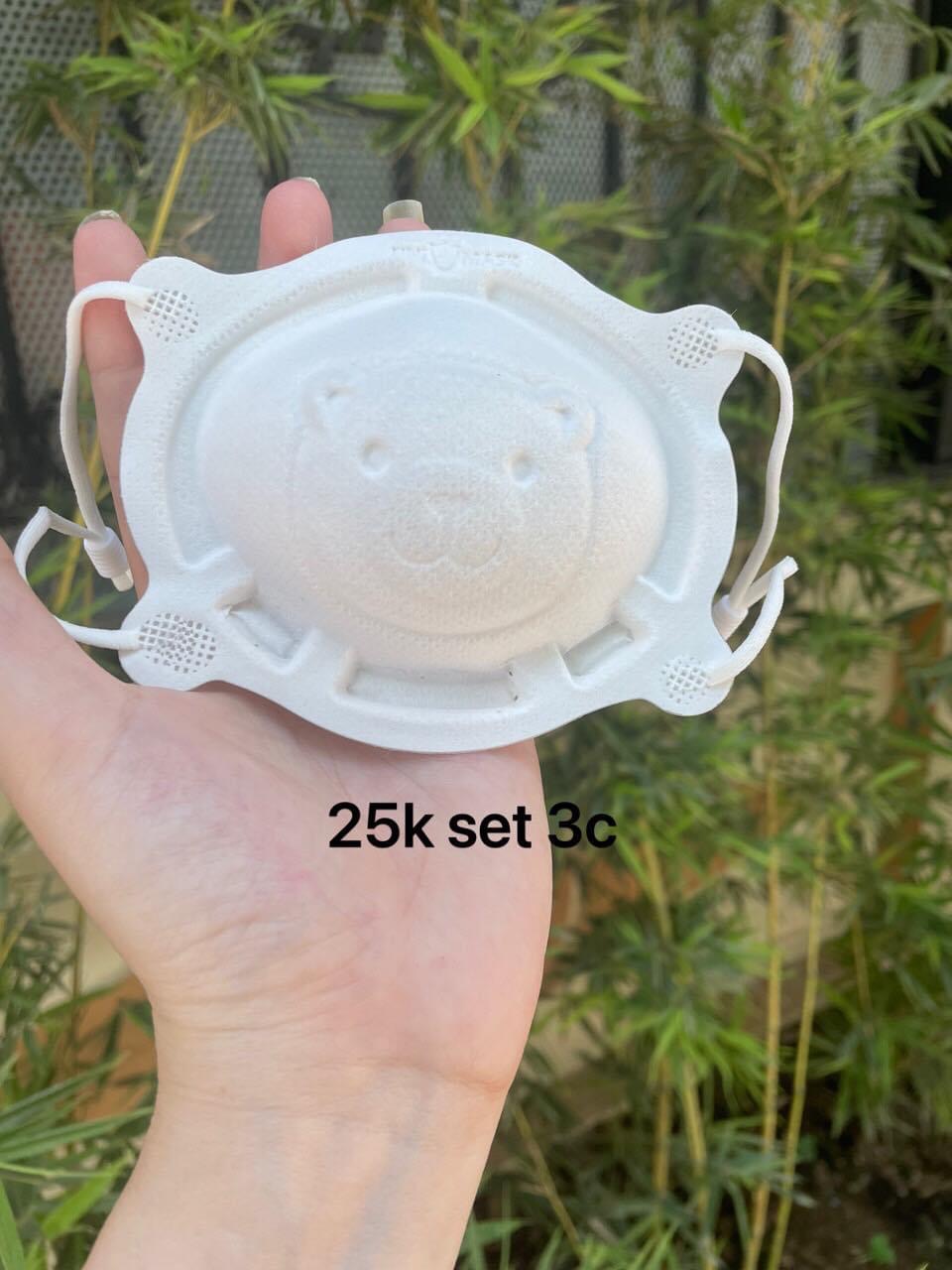 Khẩu trang sét 3 cái