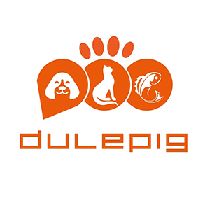 Dulepig