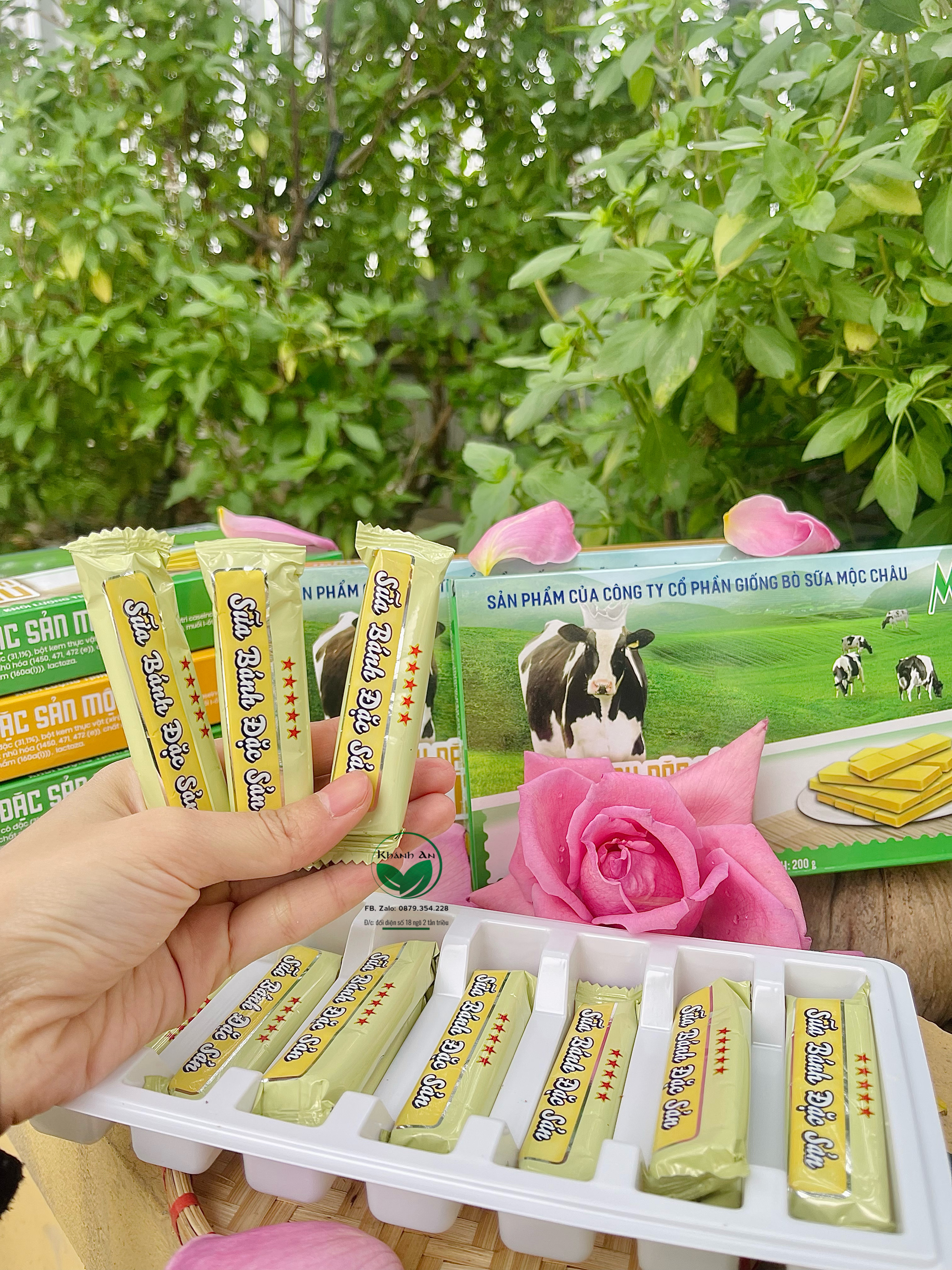 Bánh sữa Mộc Châu - Đặc sản Mộc Châu ngon tuyệt