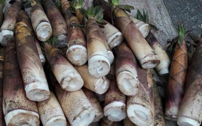 Măng ớt