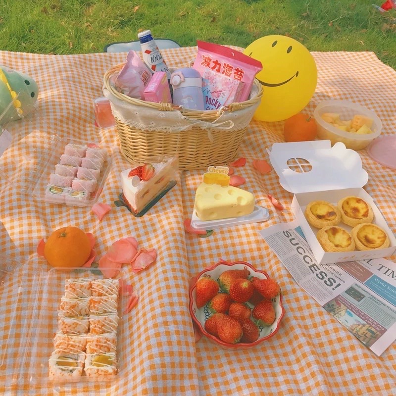 Khăn trải bàn, thảm picnic caro