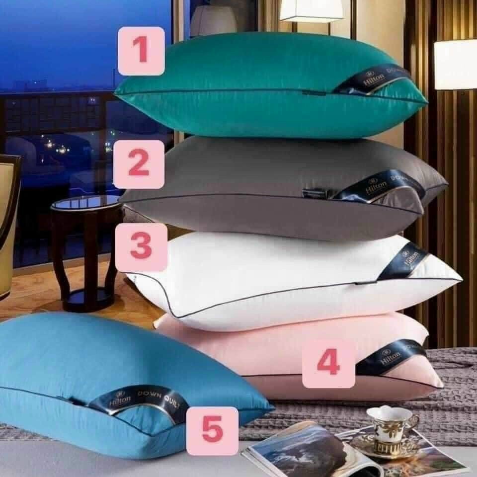 Bộ 2 cái ruột gôi hơi