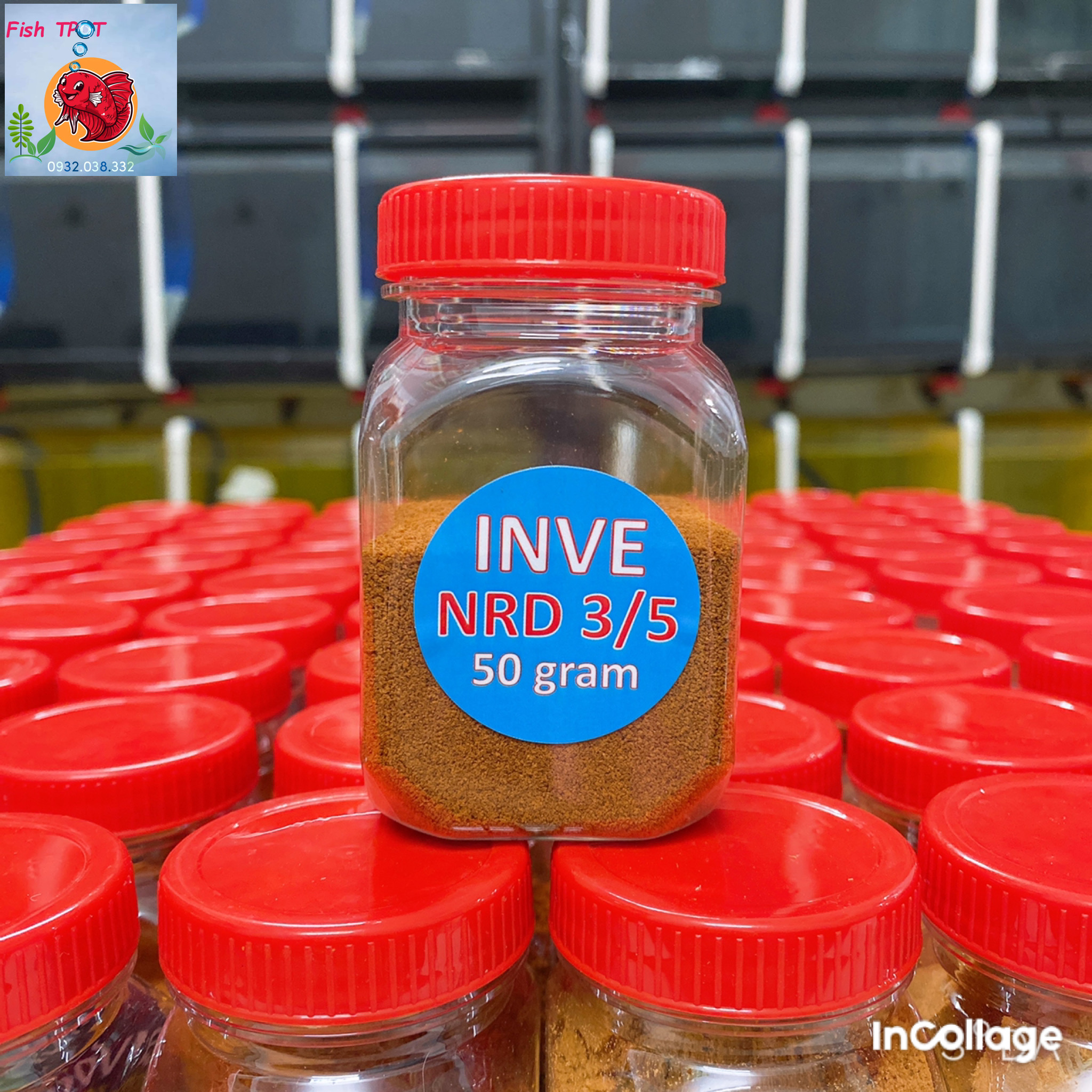 Cám thái inve 3/5 hũ 50g - thức ăn cho cá bảy màu, guppy, betta, cá cảnh