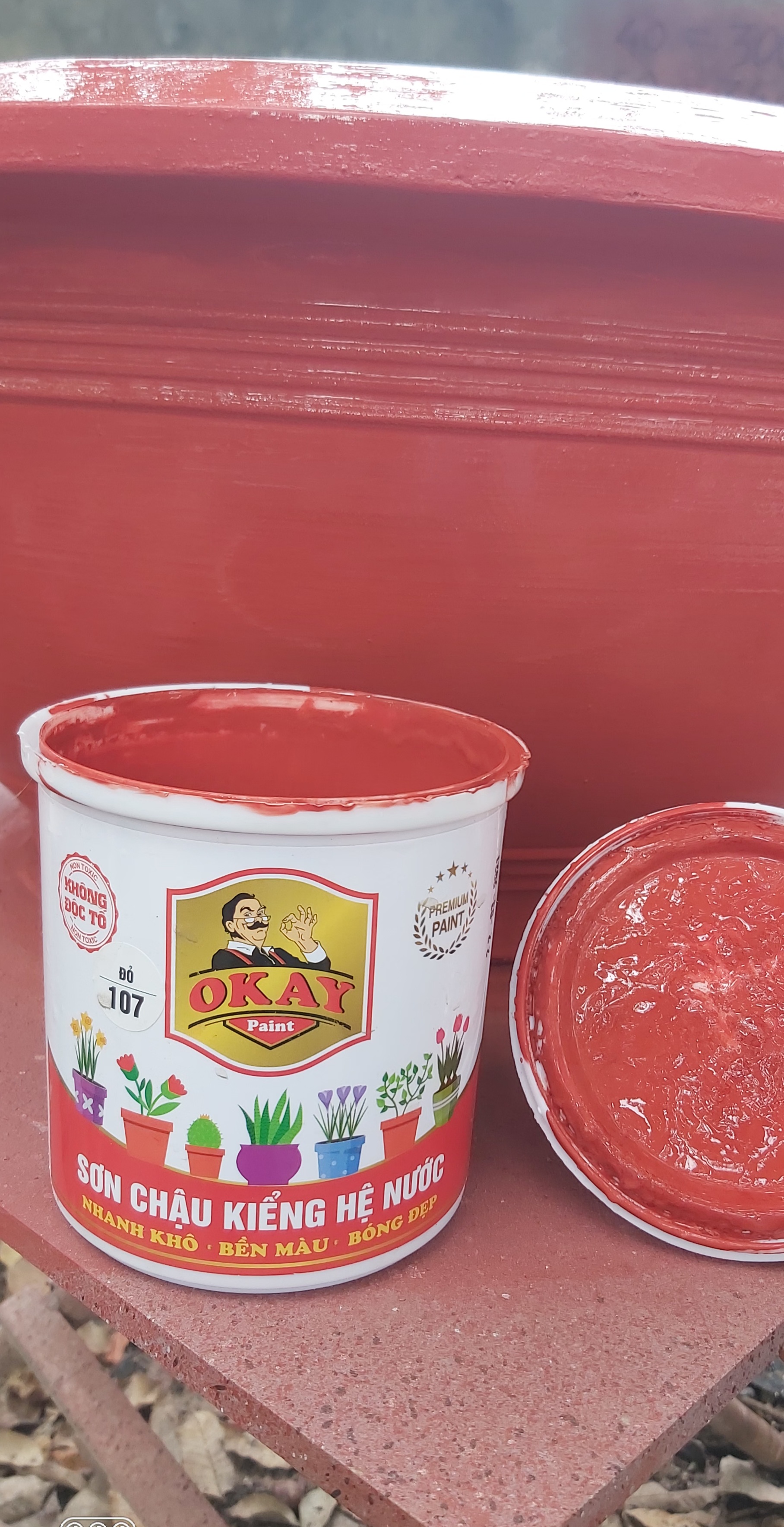 Sơn Dulphin đỏ