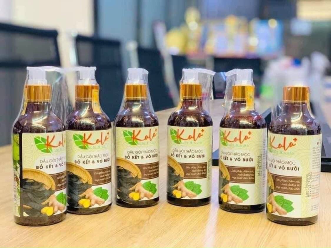 Dầu gội đầu thảo mộc KALA (chiết xuất từ quả bồ kết và vỏ bưởi)