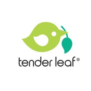 Tender Leaf Toys