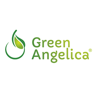 Green Angelica