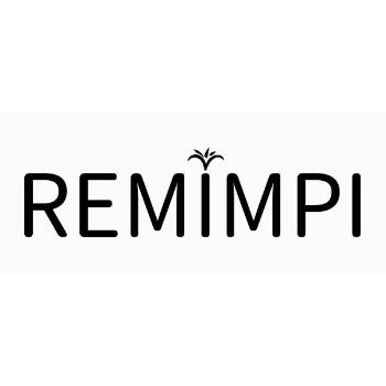 remimpi