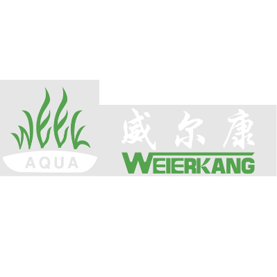 Week Aqua