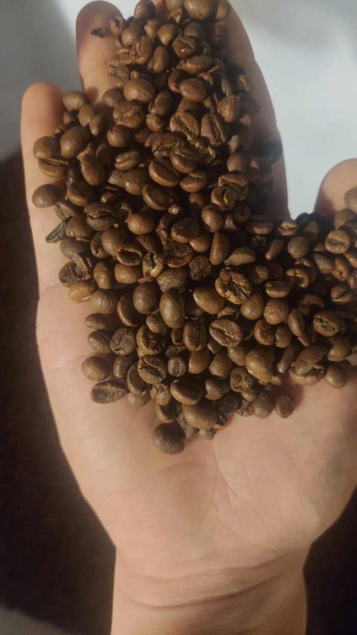 Cà phê robusta s16 rang mộc 250g