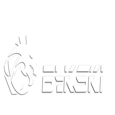 Bykski