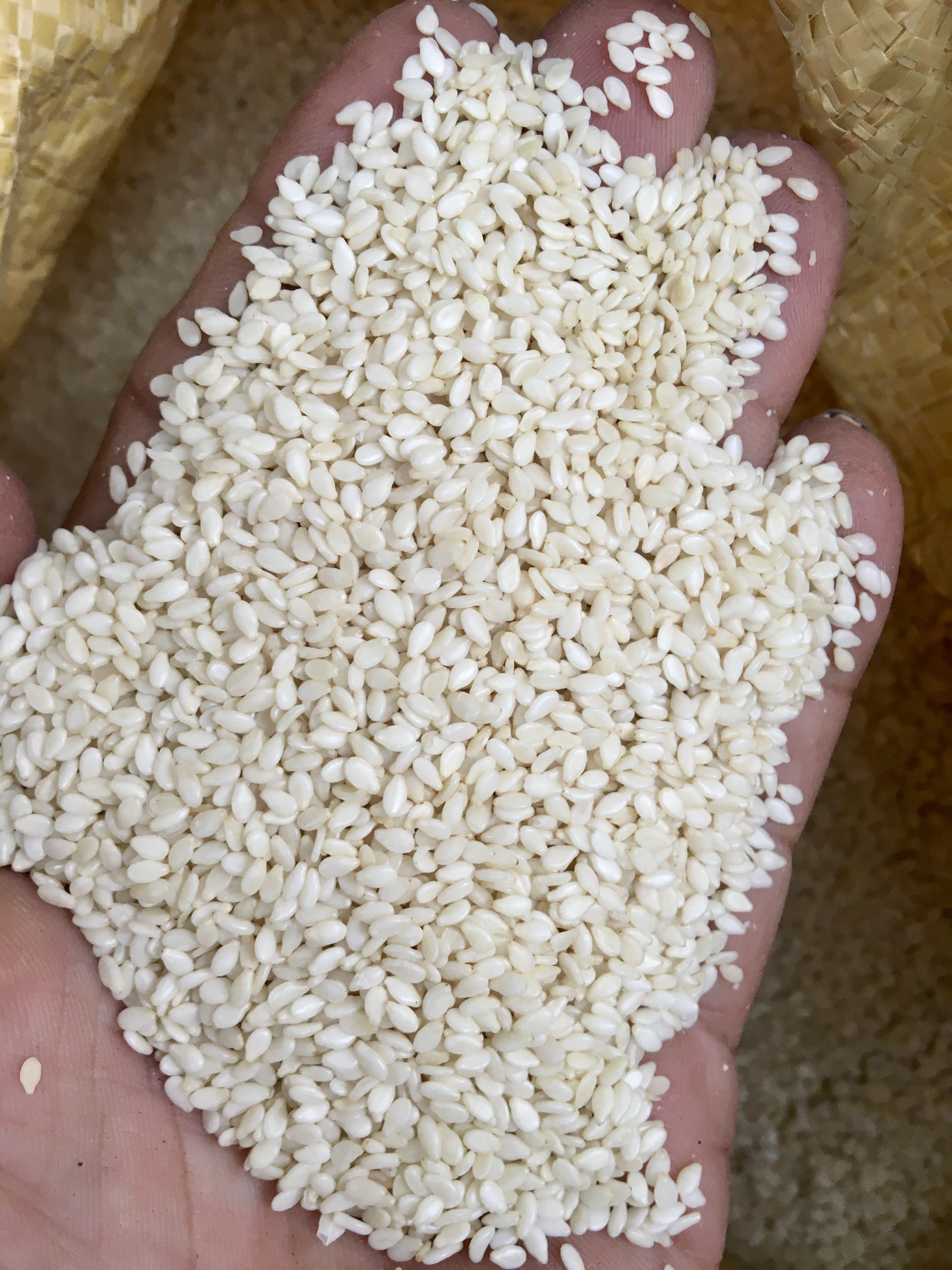 Mè trắng / vừng trắng nhân không vỏ 1kg