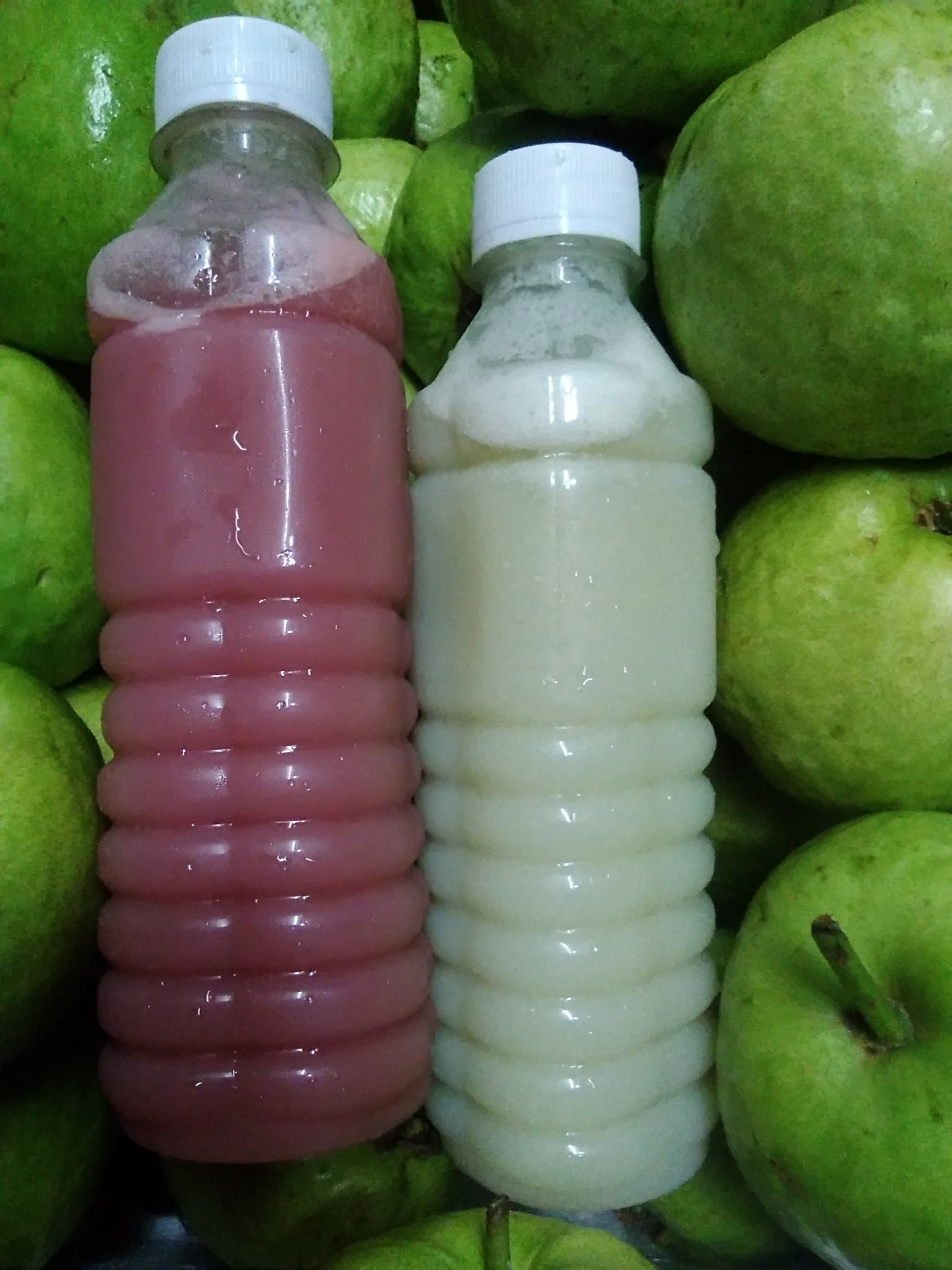 Nước Ép Ổi Nguyên Chất