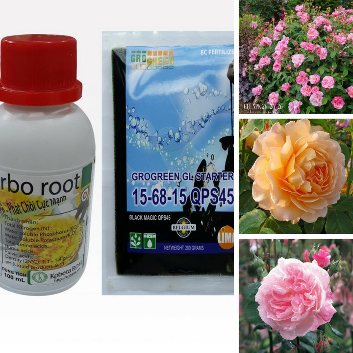 Phân bón ra hoa cho cây trồng, Bộ 2 sản phẩm phân bón NPK dạng GEL gói 200gr và turbo root chai 100ml