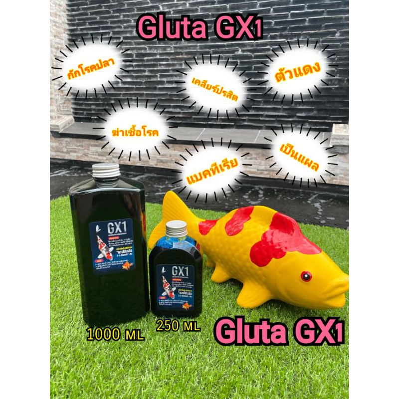 Gluta GX1 สำหรับฆ่าเชื้อแบคทีเรีย กักโรคปลา สำหรับปลาคราฟ ปลาสวยงาม 250 ml. / 1000 ml. - ยี่ห้อ GX ราคา 235 บาท*ส่งฟรี