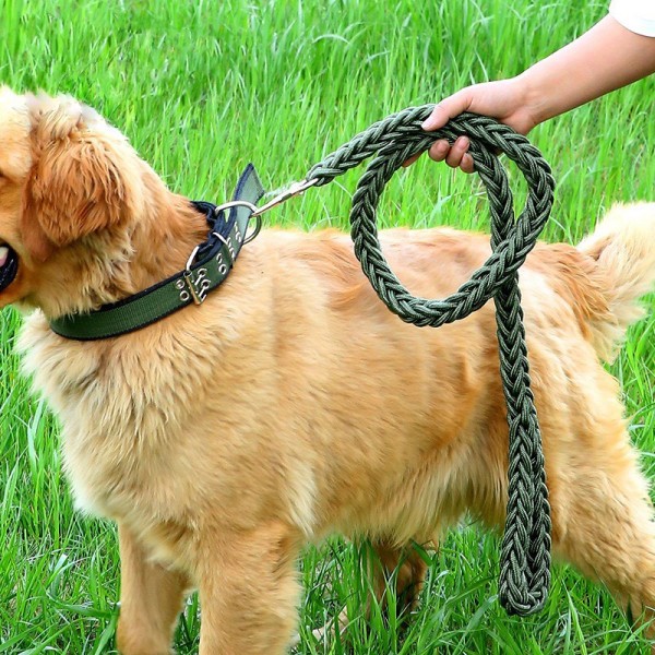 Dây dắt chó lớn bằng dây thừng bện tết 2 màu siêu chắc chắn kèm vòng cổ có thể điều chỉnh kích cỡ