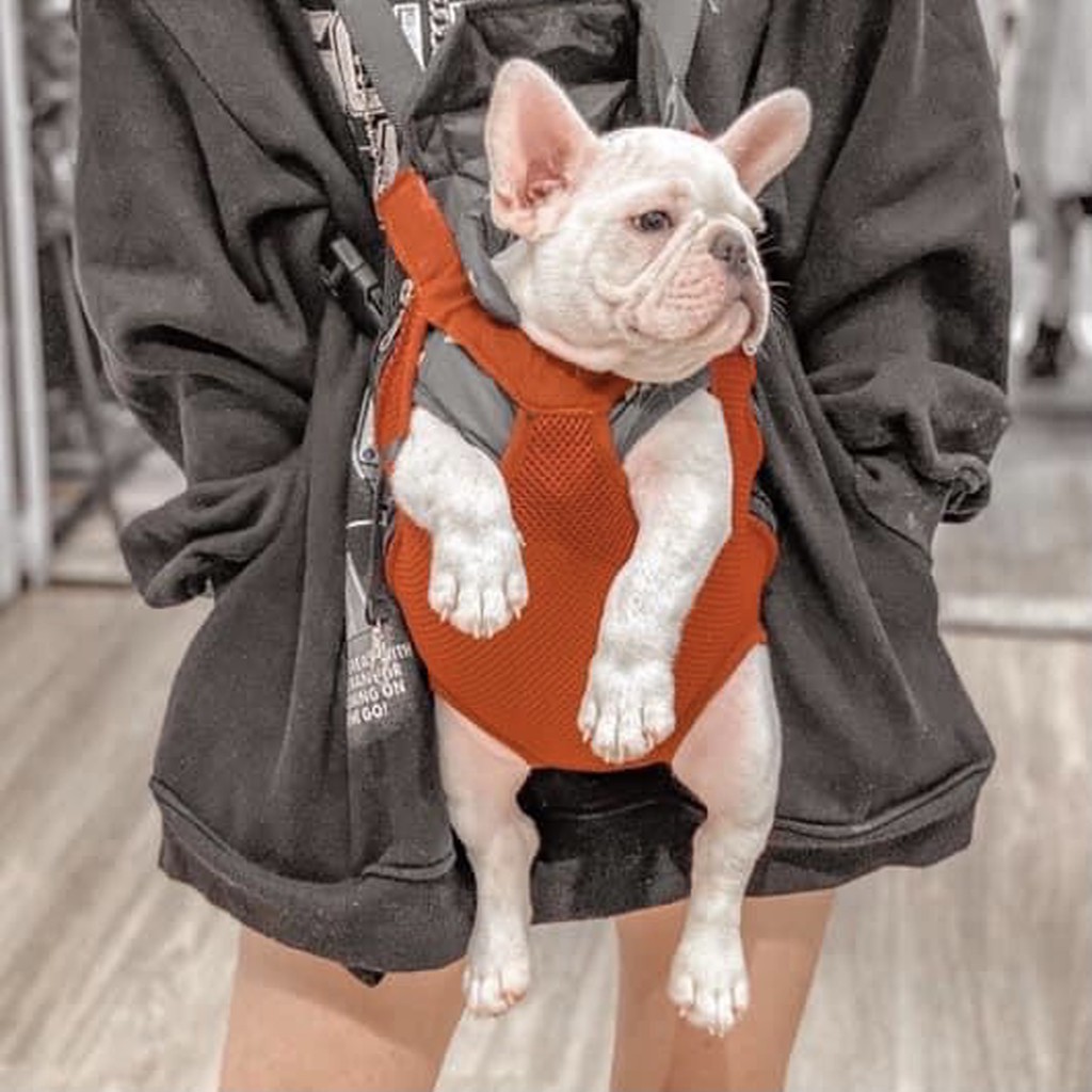 [Hoàn Tiền 10%] Địu vận chuyển chó mèo vải lưới thoáng khí nhiều màu sắc