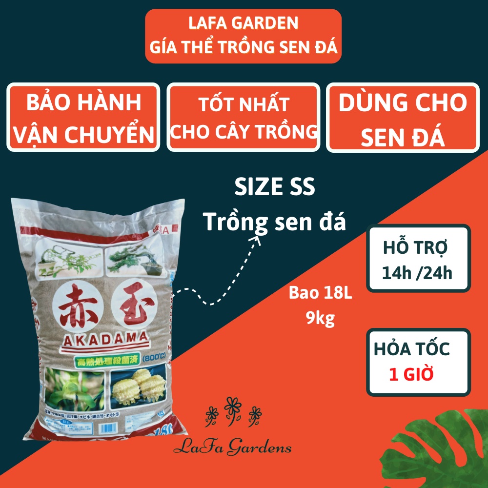 Đất nung Akadama Nhật Bản size SS , Đất nung trồng sen đá
