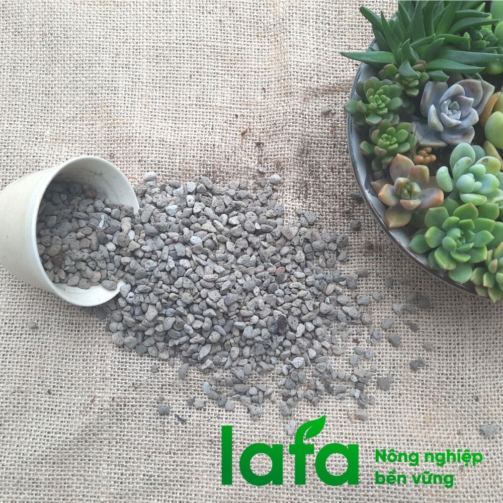Đá Pumice Indo size 3-6mm thể tích 1 lít siêu phẩm trồng cây sen đá từ nhãn hiệu LAFA