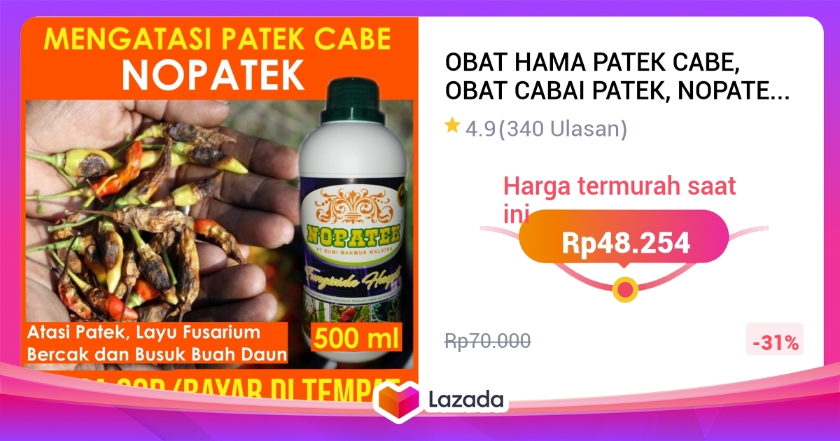 Obat Hama Patek Cabe Obat Cabai Patek Nopatek Fungisida Patek Cabe Obat Patek Cabe Terbaik