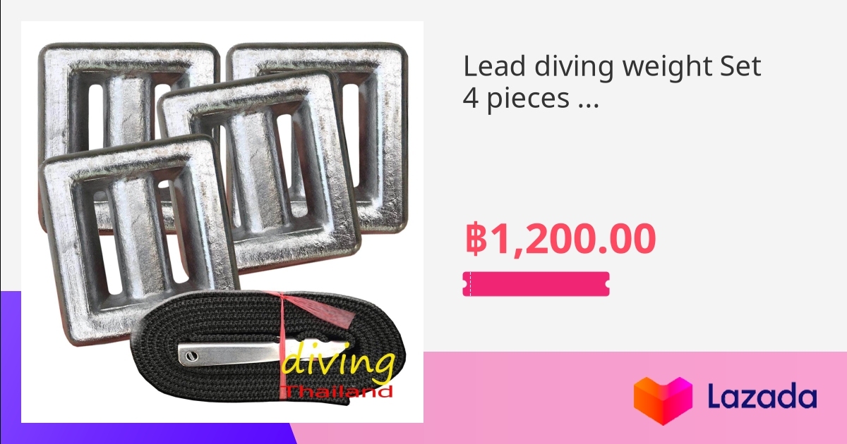 Lead diving weight Set 4 pieces & Diving belt.