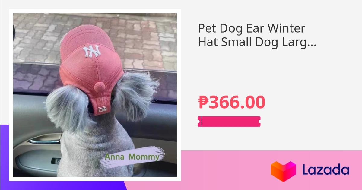 Pet Dog Ear Winter Hat Small Dog Large Dog Knitted Special Teddy Funny