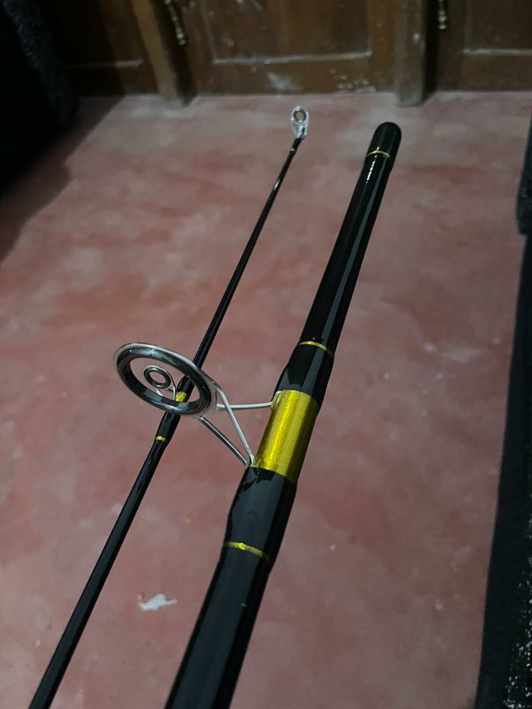 Viva Spin Master Fishing Rod/ 8ft / 2 Pieces