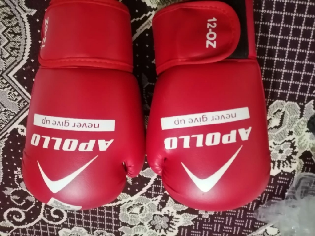  BOXING GLOVES REXIN APOLLO PUNCHING GLOVES 9BGR10 - RED