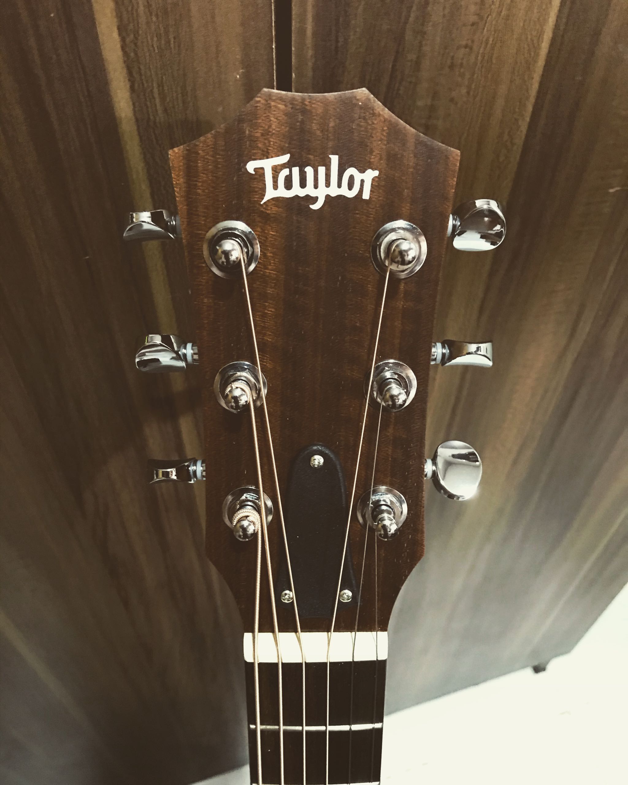 taylor guitar price lazada