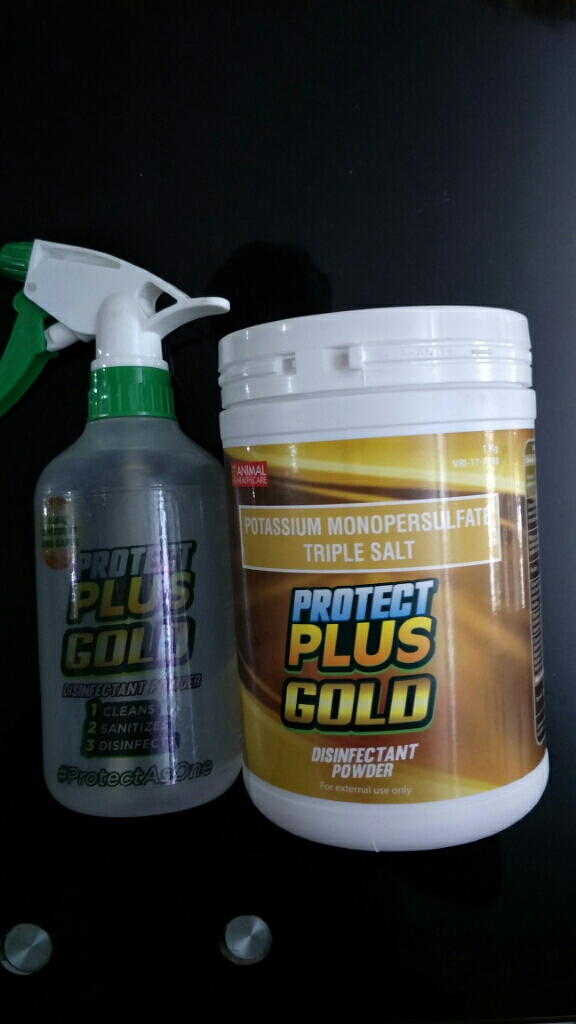 Protect Plus Gold Disinfectant (1kg) ubicaciondepersonas.cdmx.gob.mx