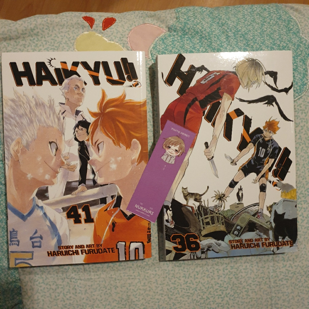 Haikyu!! Manga Volume 41