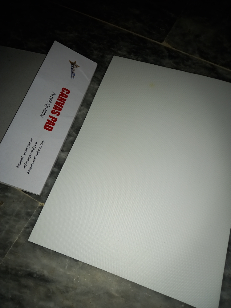 1 Pack - Canvas Pad 10 Sheets A4 / A3 Size 100% Cotton 280gsm Studio  Quality Canvas Pad