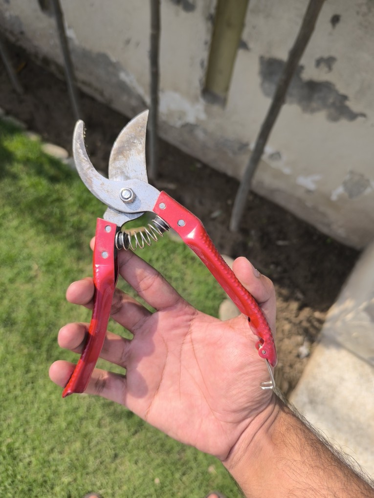 2-Pack Stainless Steel Gardening Scissors & Pruning Shears – Sharp, Comfort-Grip Garden Tools
