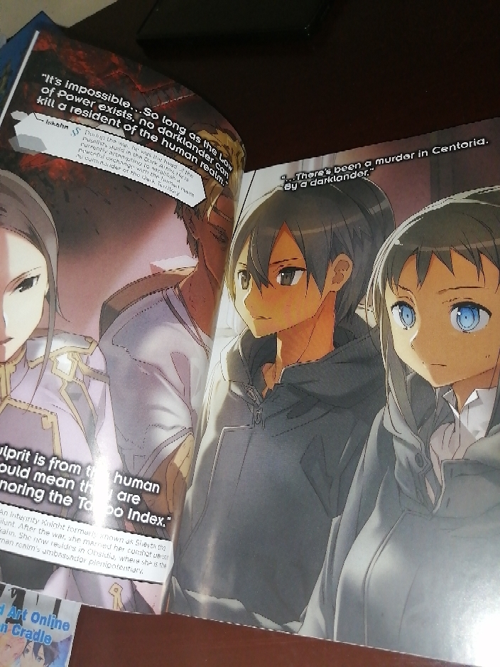 Sword Art Online 20 (light novel): Moon Cradle