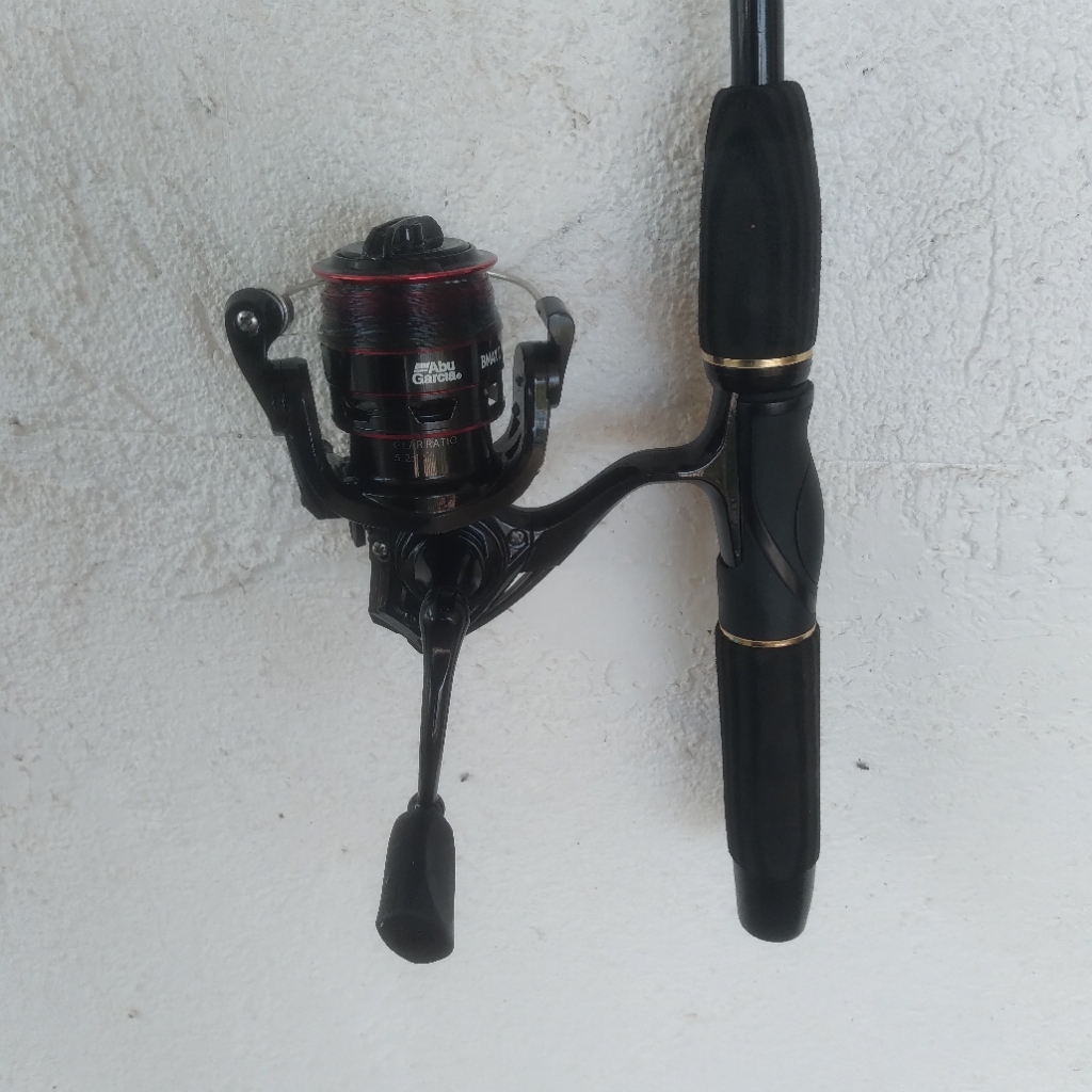 Original ABU GARCIA BLACK MAX 2 Spinning Fishing Reel 4+1BBs Graphite Body  Saltwater Fishing Reel Fishing Coil BMAX2 - AliExpress